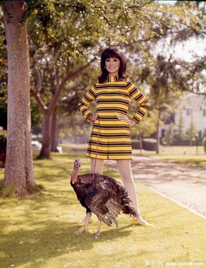 [CELEBRITY NYLON]Marlo Thomas in nylon stockings,pantyhose,tights[3]