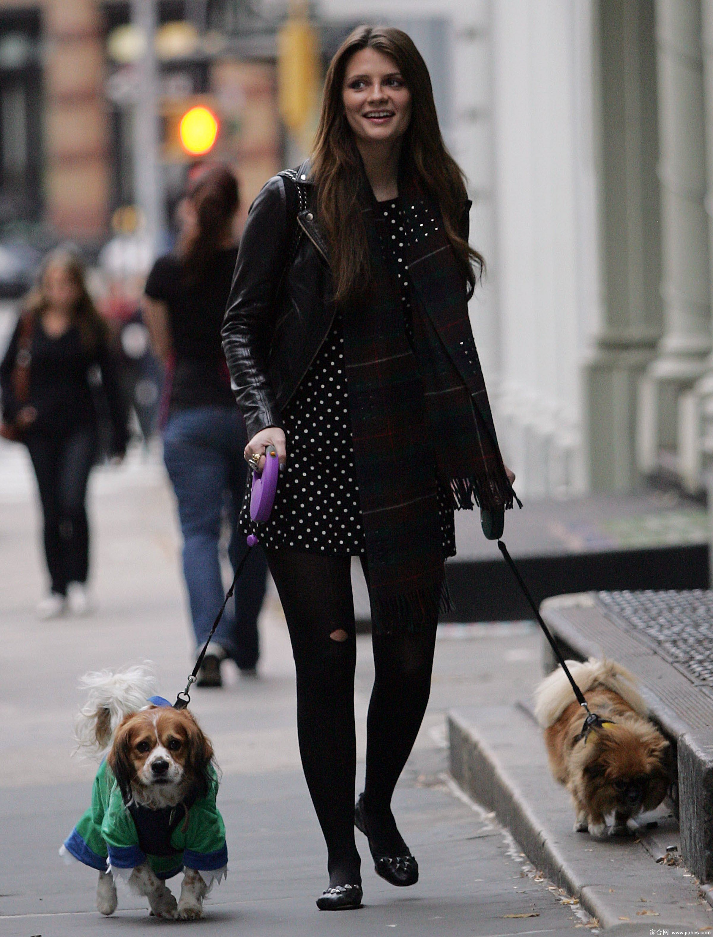 [CELEBRITY HOSIERY]Mischa Barton in nylon stockings,pantyhose,tights 18[10]