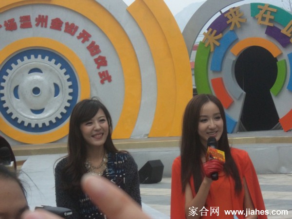 可爱女李金铭出席活动靓照