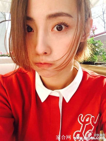 清纯美女张嘉倪微博晒自拍