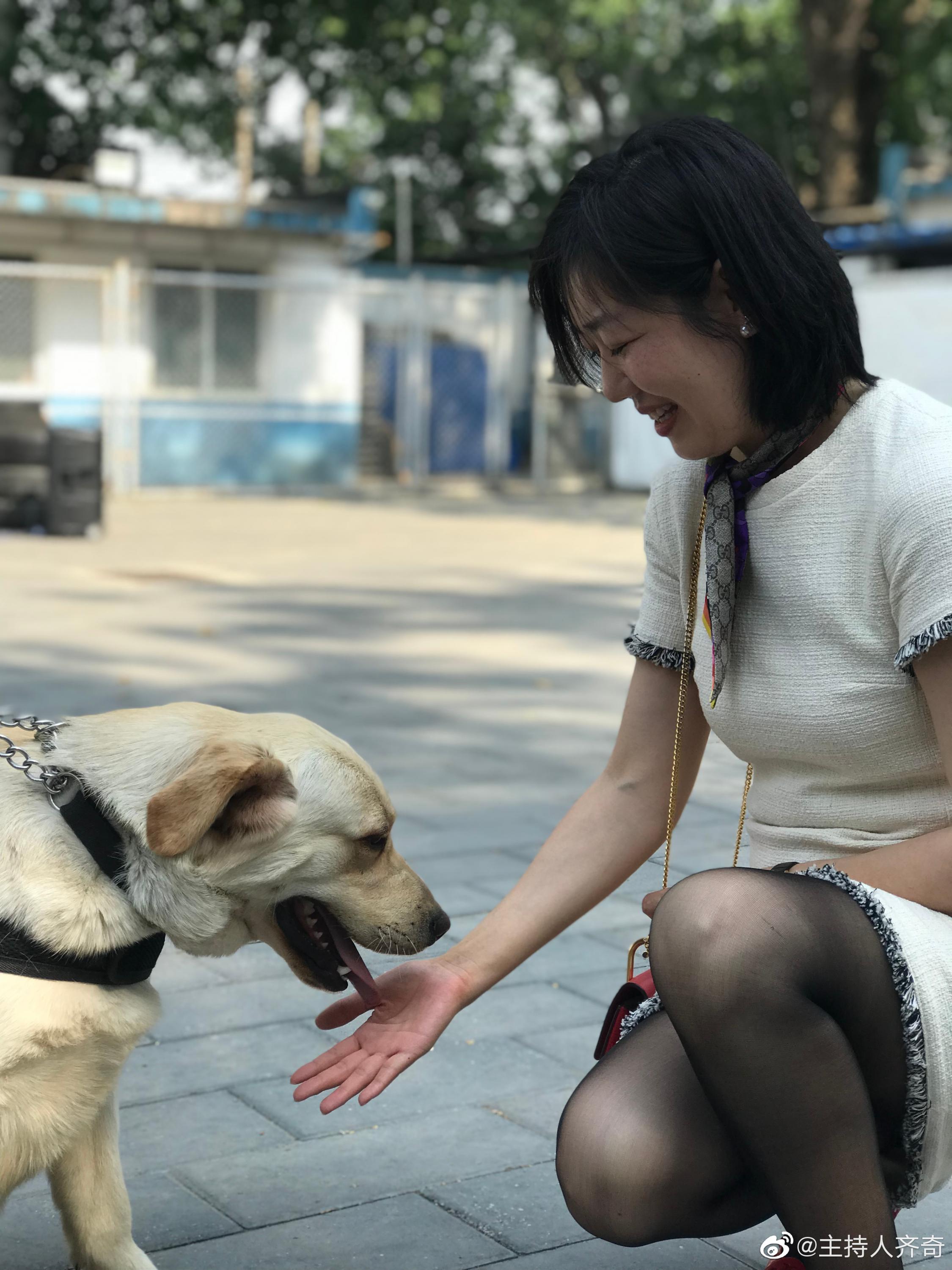 主持人齐奇性感黑丝袜制服短裙美腿高跟[5]