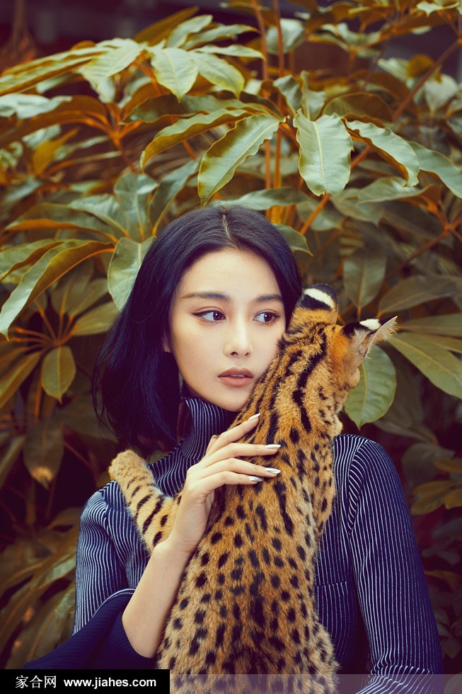 张馨予2016年底《宠物世界-猫迷杂志》大片[2]