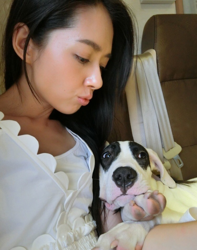 郭碧婷和爱犬玩亲亲汪星人撞脸颜王[2]