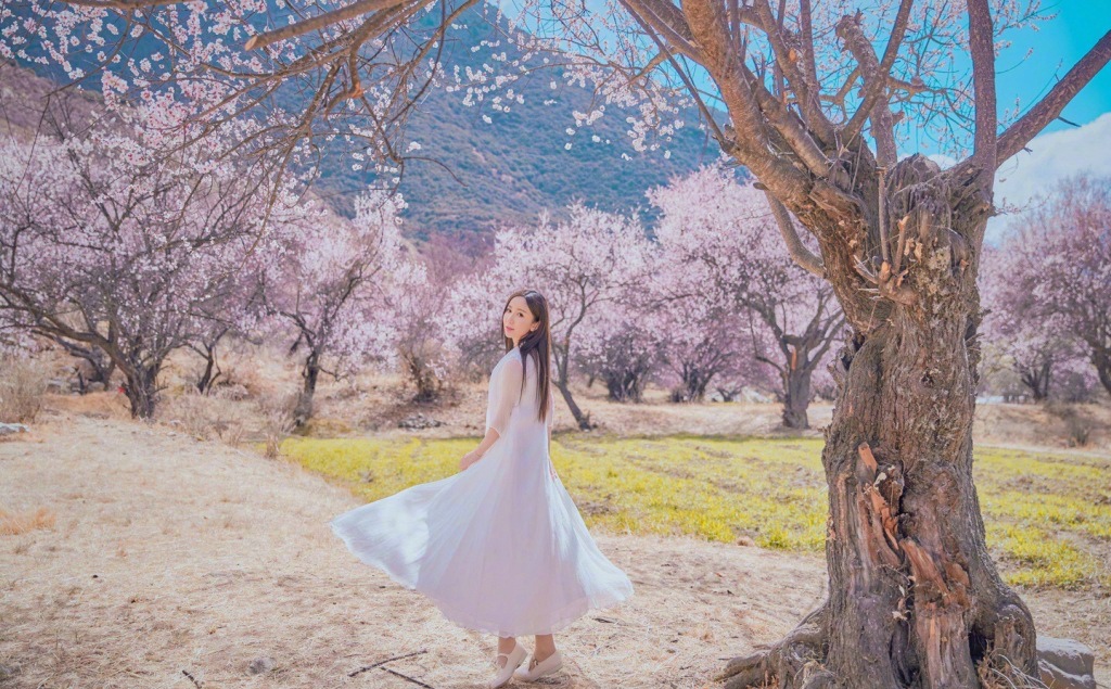 娄艺潇唯美写真 一袭白裙长发及腰画面美[3]